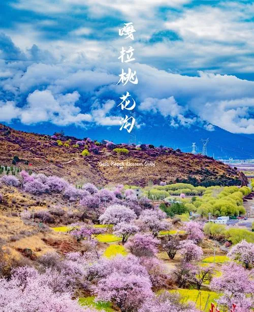 春夏秋冬最值得去的10个景点