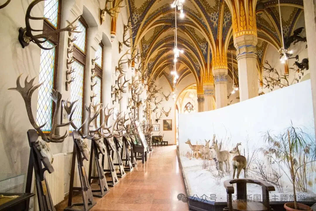 欧赛斯旅游 | 匈牙利农业博物馆 狩猎展厅 | 全面展示了匈牙利狩猎文化的辉煌历史