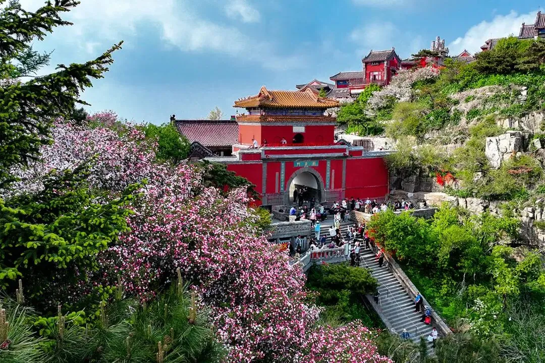 山东春天最美的十个景点,春风渡齐鲁,山川焕新容!