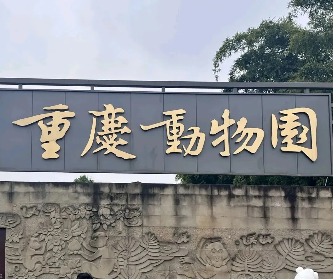 重庆主城景区推荐之七:九龙坡区