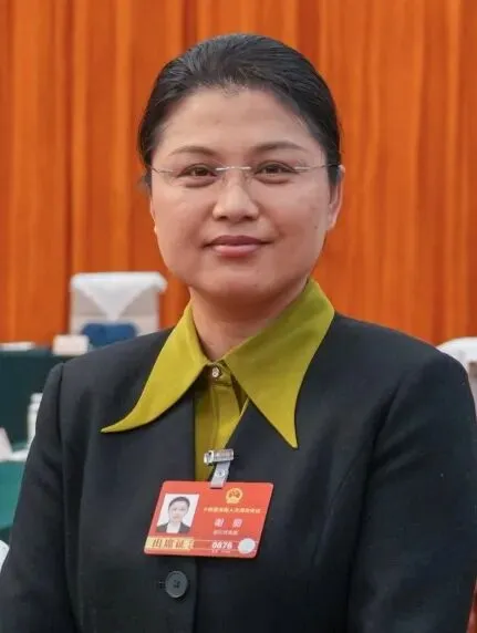 谢丽代表:为海岛旅游高质量发展提供坚实司法保障