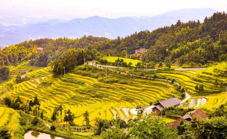 娄底著名的旅游景点——紫鹊界梯田