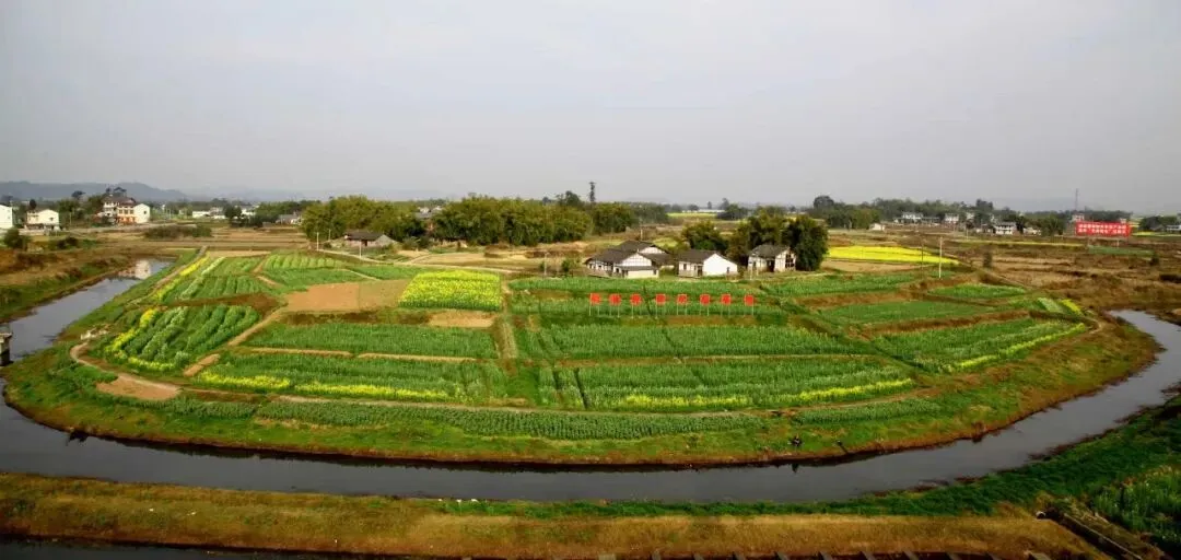 四川岳池又火了,苟角油菜花开成海,春天旅游季到了