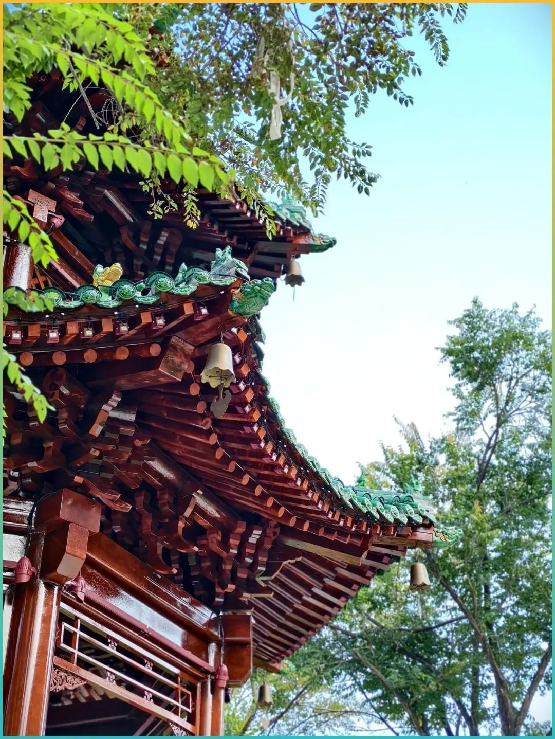 别被攻略骗了!3月这6个热门景区人山人海,这8个冷门地方才是天堂!