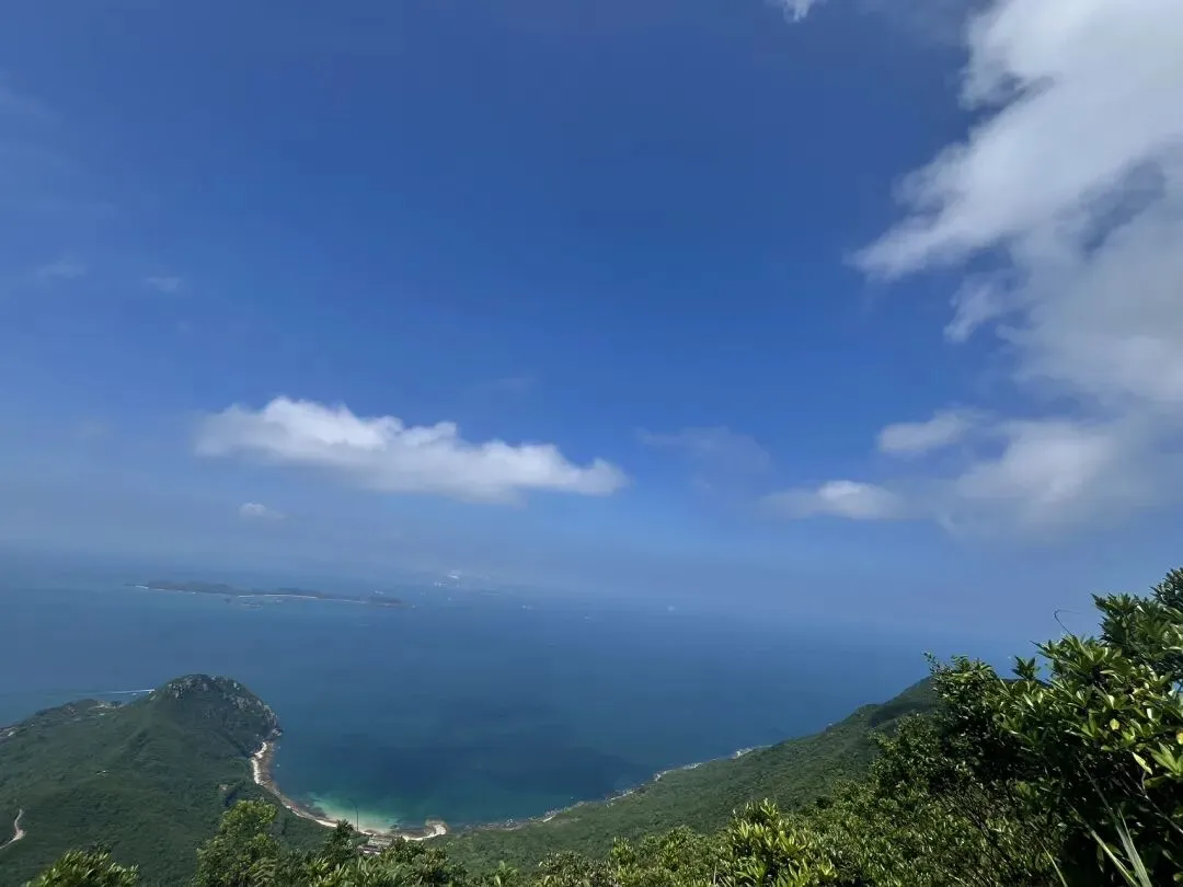 网红打卡点出事,该怪游客还是景点?