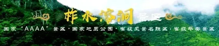 暖心!时隔数日,柞水溶洞景区温情服务再获赞誉