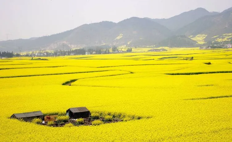 曲靖市十大旅游景点,滇东一日游精华所在,你来吗?