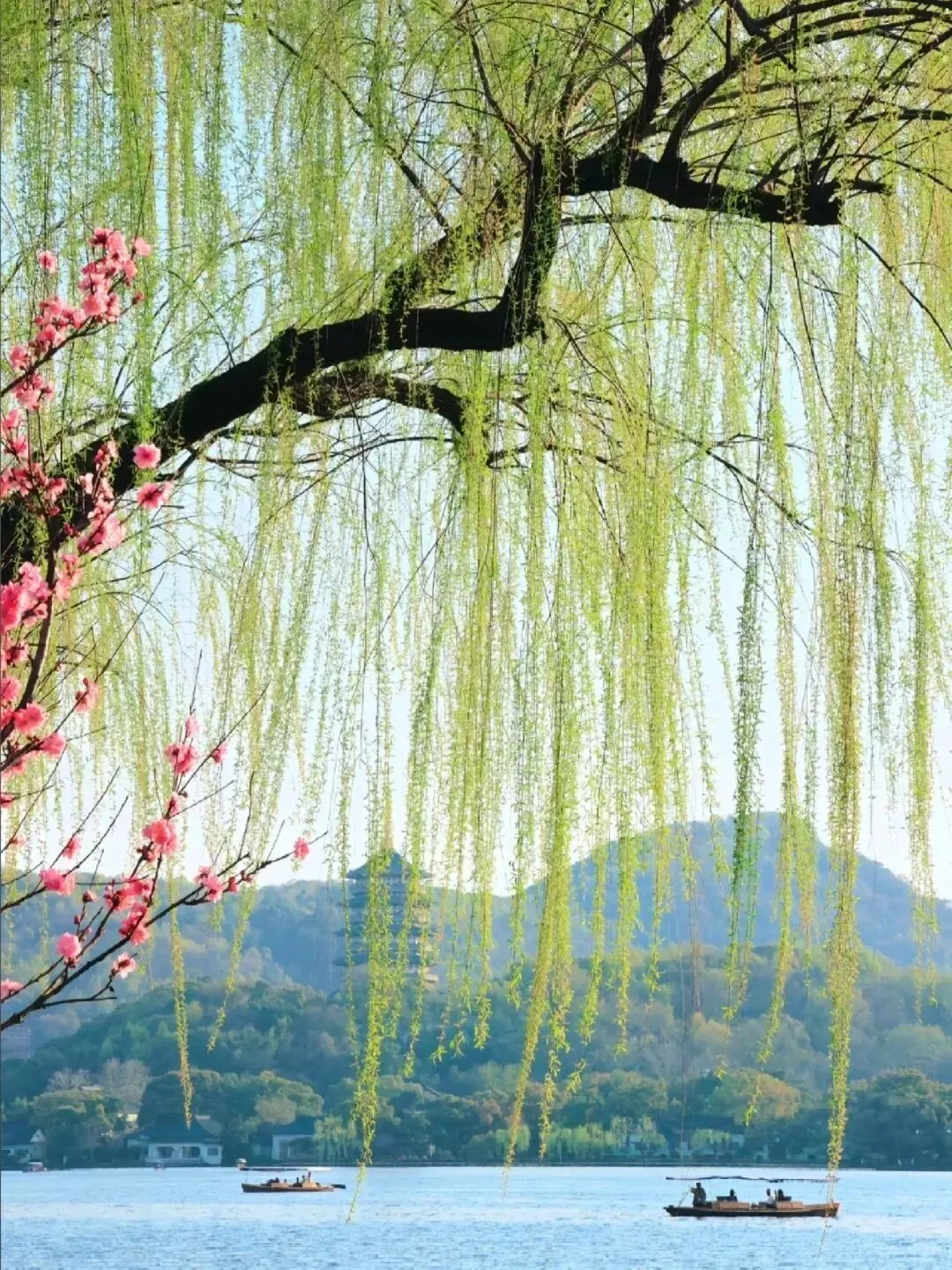 中国 “最想去” 的十个旅游景点,去过 3 个算合格,去过 5 个就是旅游达人!