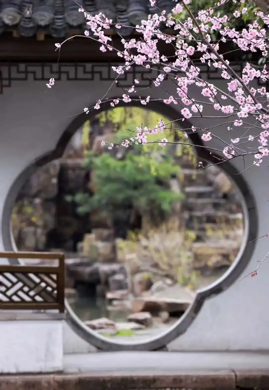 高铁2h!住进5A级景区,赏花泡真温泉,吃天花板级早茶!