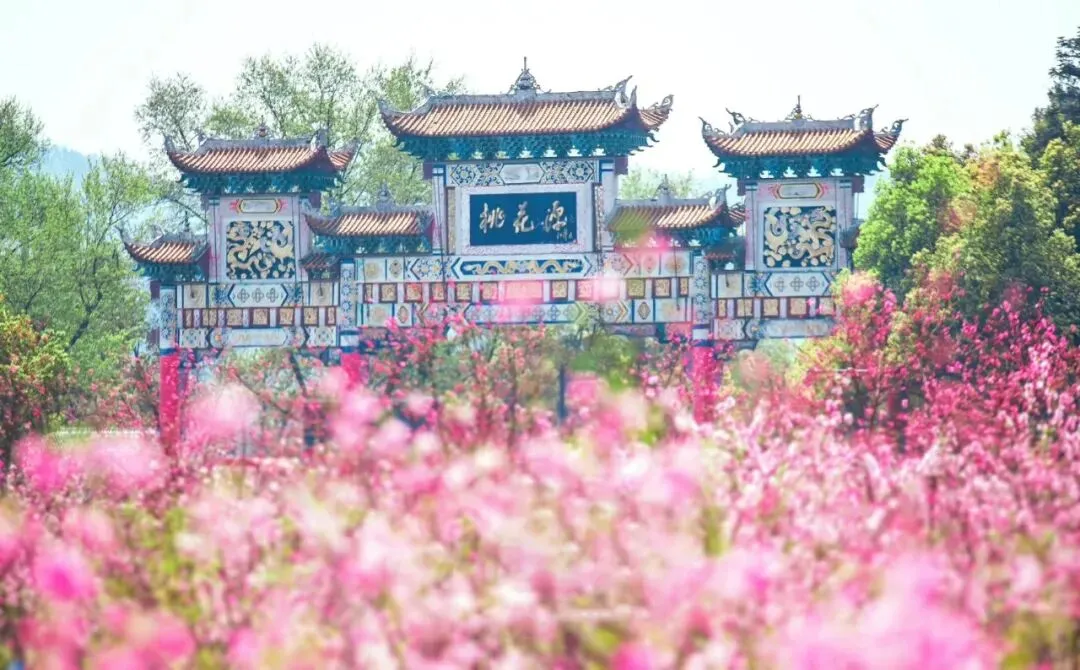 【3月14日已成团】常德·桃花源5A景区+两山一湖汽车一日游