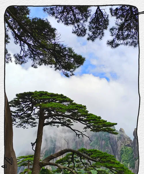 黄山的发展被严重低估,未来将成为旅游与经济双强城市