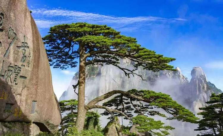 不止旅游,黄山的未来比滁州保定张家界更有多元潜力