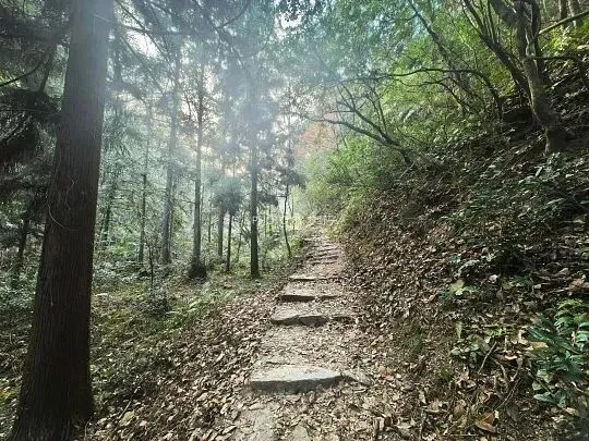 别挤热门景区了!金华这条千年古道,才是2026春天徒步的“隐藏王者”!