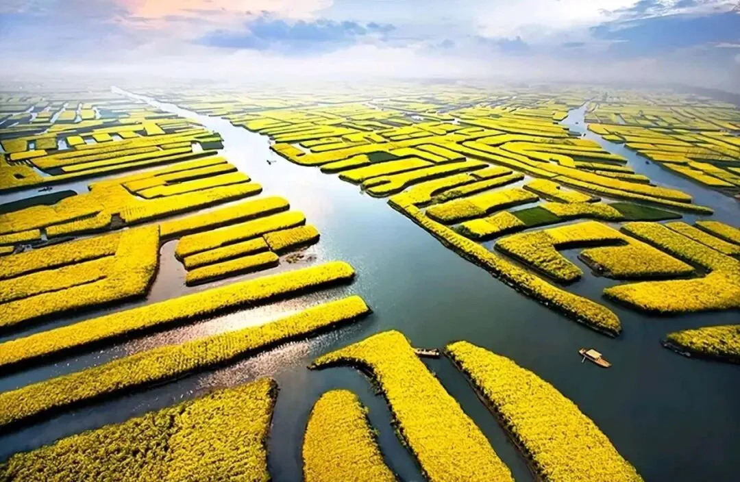 江南春色·轻享自驾6日游,多个5A景区,门票景交船票全含,无锡连住不挪窝