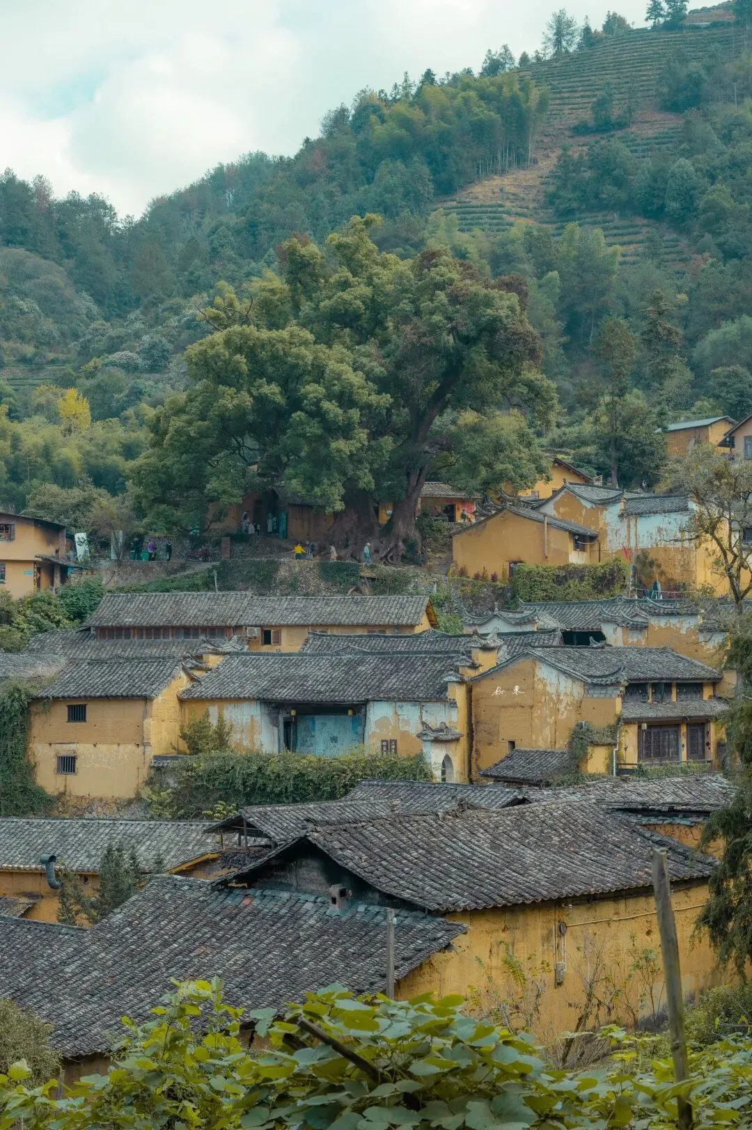 避开喧闹景点,这4个高性价比旅居乡村,别提有多宁静