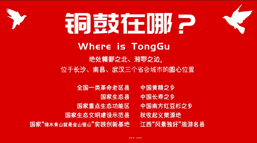 关于公开征集旅游行业导游乱象、强制消费违法违规线索的公告