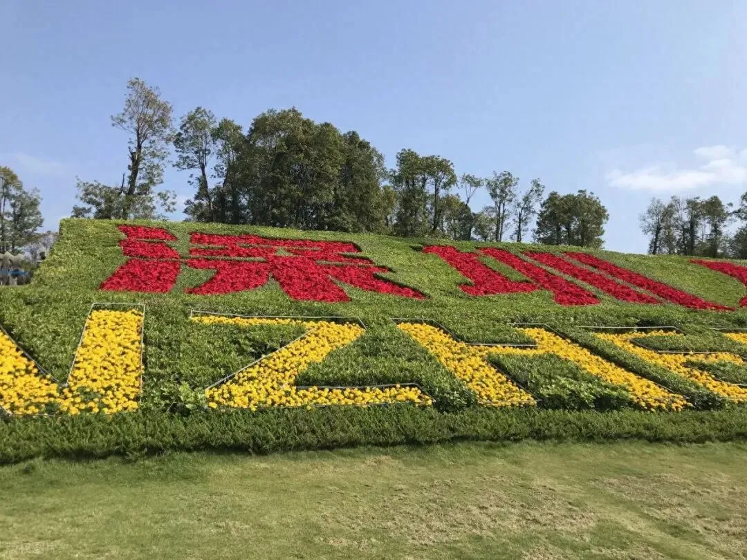 深圳旅游封神攻略|必去景点+必吃早茶老字号,本地人私藏不踩雷