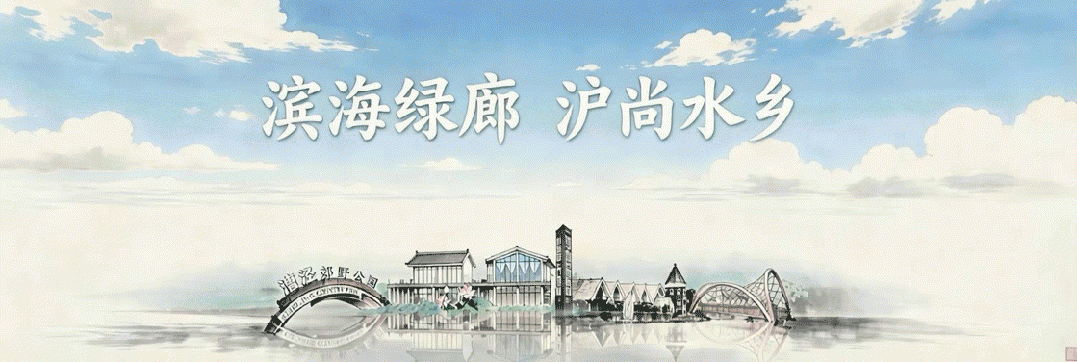 区政协举办“漕泾水窠景区'文商旅体展农'协同赋能乡村振兴”专题协商暨委员履职“服务为民”活动