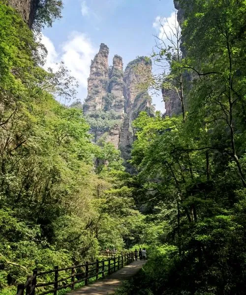 张家界著名的旅游景点——张家界国家森林公园