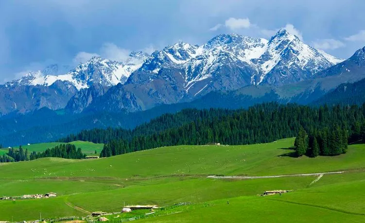 新疆昌吉著名的旅游景点——江布拉克草原
