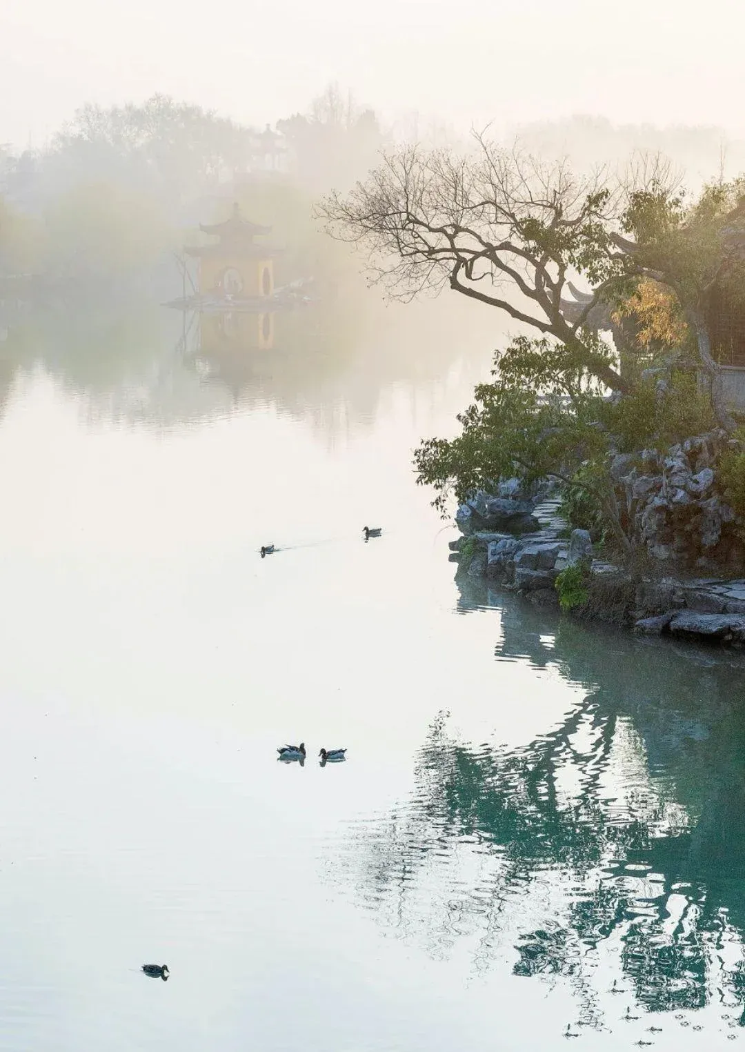 6个景点、2种体验、1条忠告:去扬州,真不用非等烟花三月