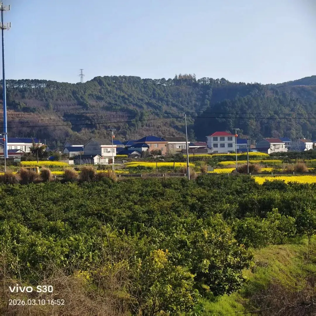 湖南临澧|临澧人未必知道的一些景点