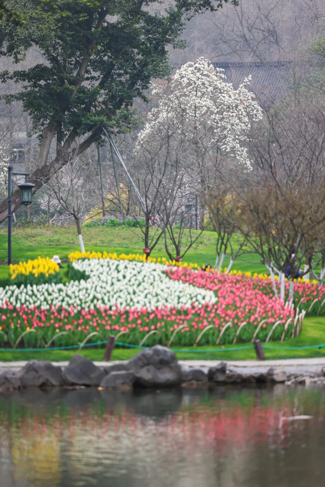 西湖景区旅游旺季到,停车收费有调整