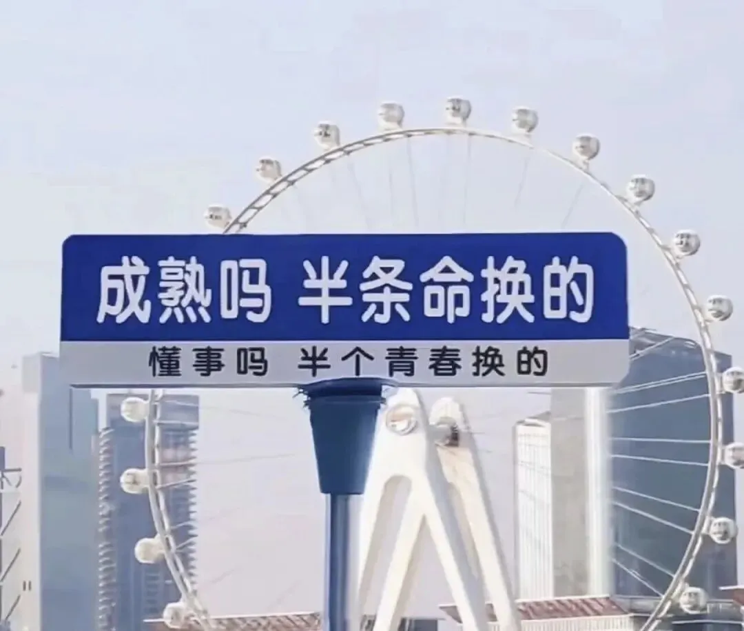 景区老板的必修课:先学会“认怂”,才能赢得成功