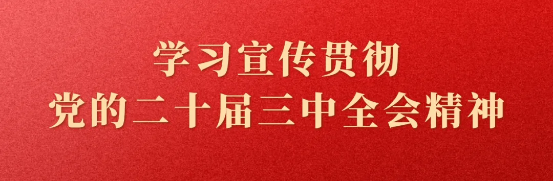 免费!半价!福建多景区宣布