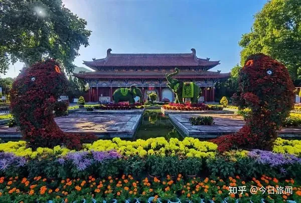 寒假实践活动方案设计——河南省旅行方案