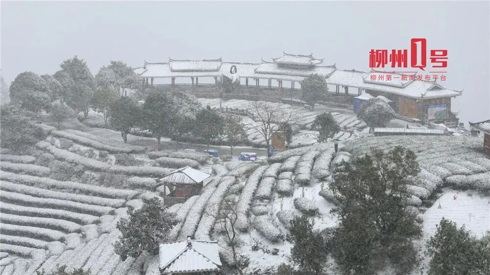 雪҈雪҈雪҈!广西周边赏雪胜地攻略来了!!