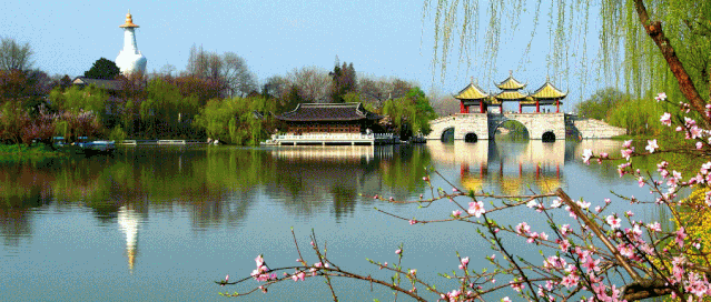 景区党工委中心组举办行政规范性文件知识专题讲座