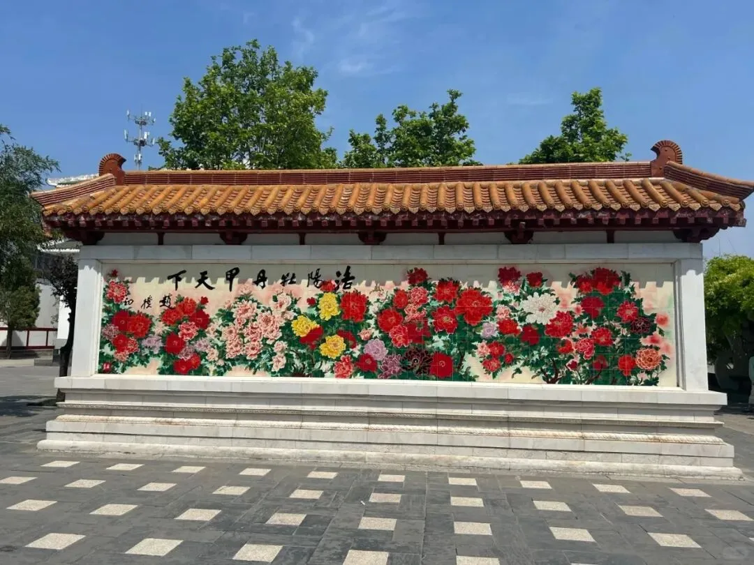 【洛阳赏牡丹】——神州牡丹园超全游玩攻略:赏花、避坑、联动周边景点全