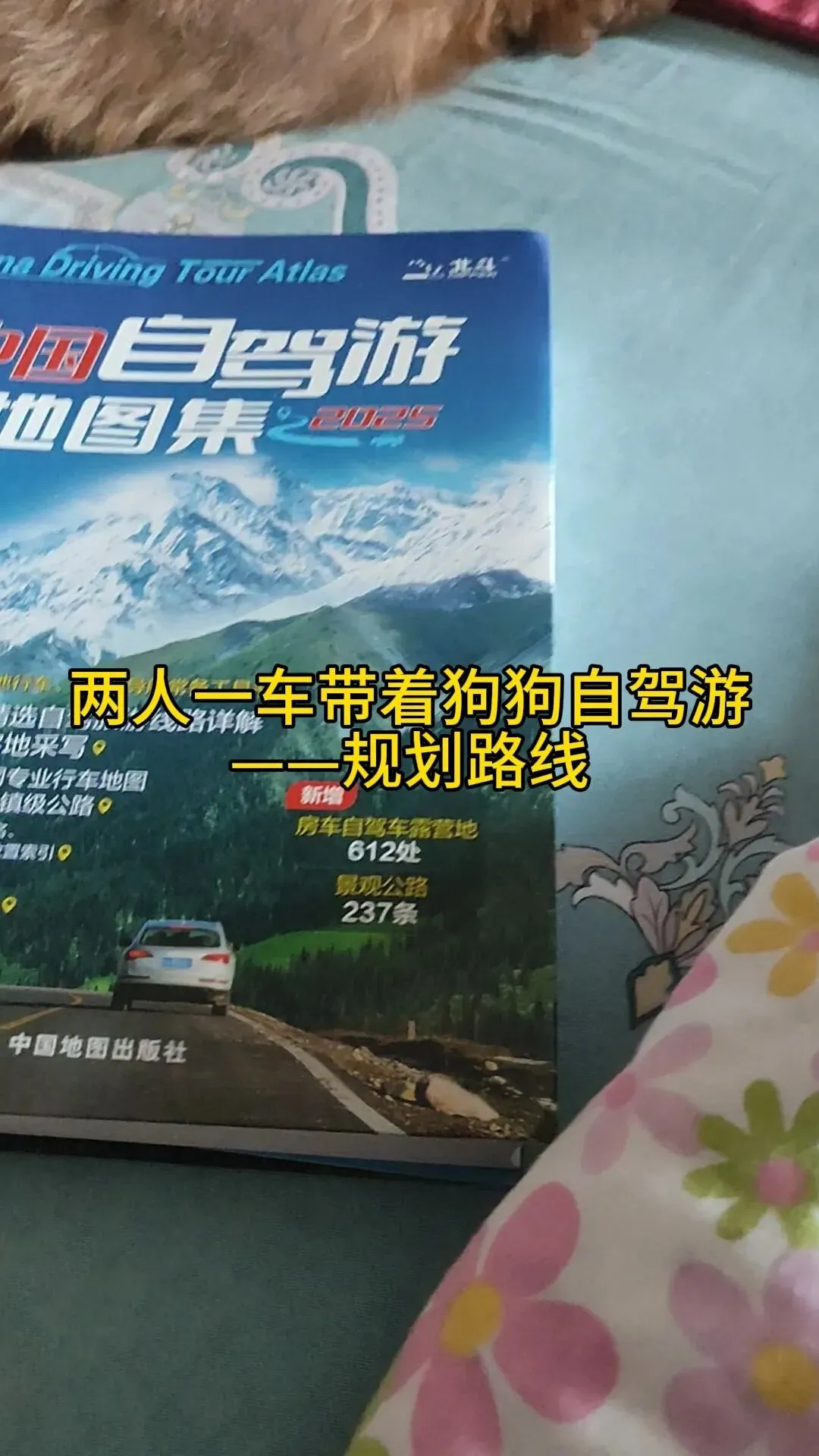 两人一车带上狗狗自驾游——规划路线