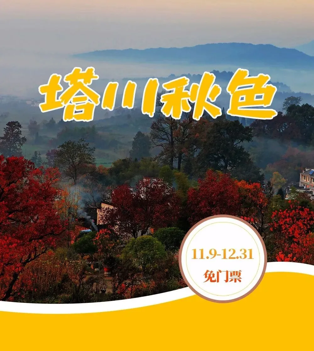 好消息 | 塔川景区免门票啦!附免票攻略