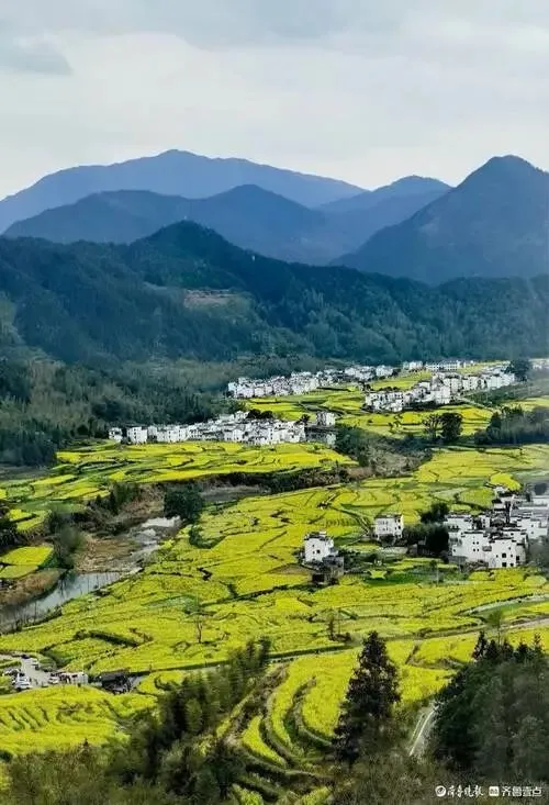 8条江浙沪皖周边绝美自驾路线,太有用了,赶紧收藏!2026年3-4月走起!