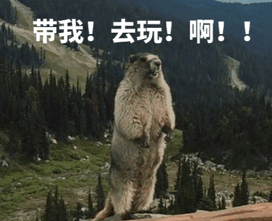 一地报告3例鼠疫病例!去这些地方旅游要小心!