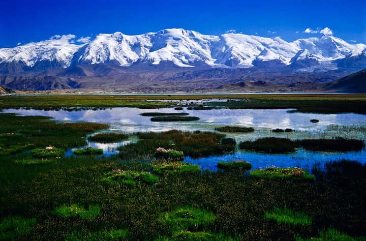 新疆春季自驾路线攻略