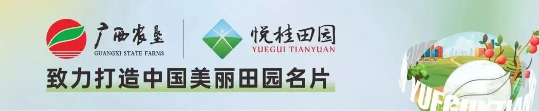 叮!广西今年又有新的网红文旅景点了!规划文件抢先看!