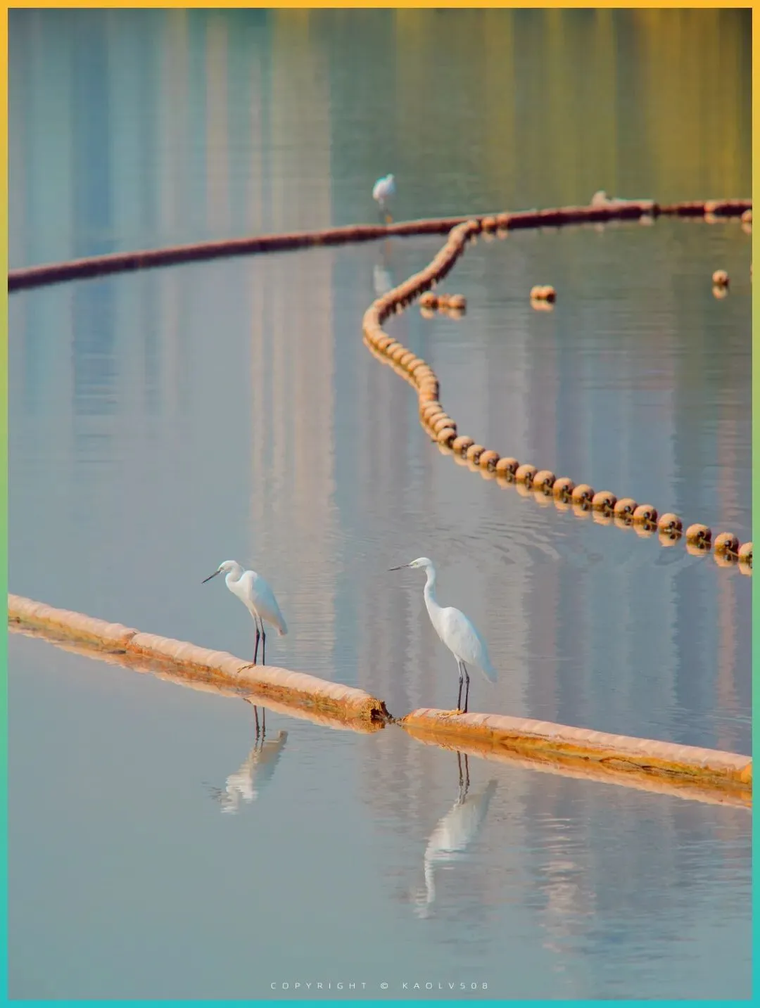 8条江浙沪周边绝美自驾路线,太有价值,赶紧收藏!2024年4月安排走起!