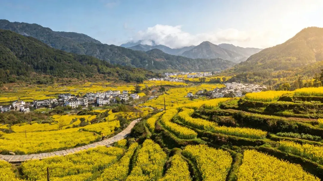 春季自驾指南|4条小众赏花路线,避开人潮,邂逅专属春日浪漫