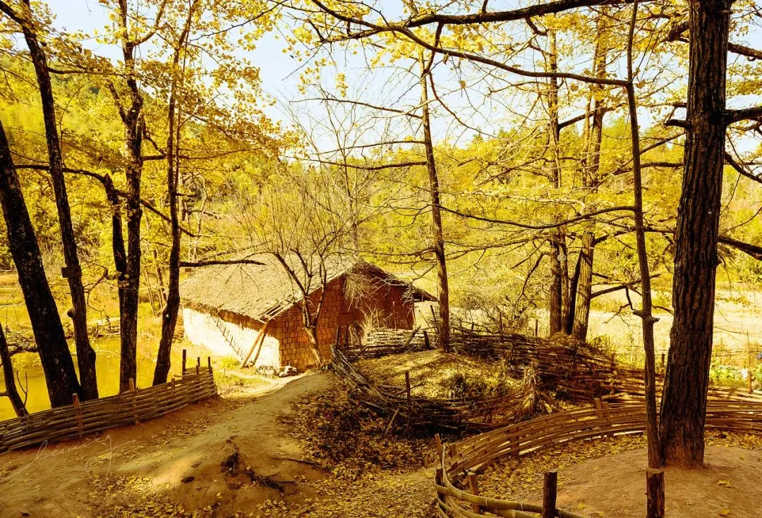 今年秋天的旅行计划里,一定不能再把它落下了!