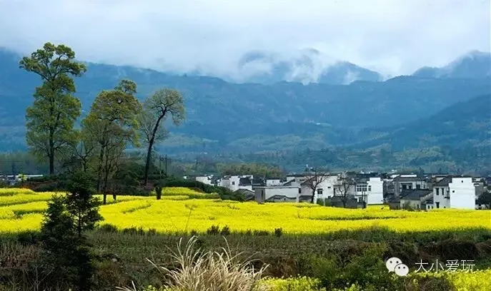 四月旅行计划坐高铁南下,赏遍江南油菜花海