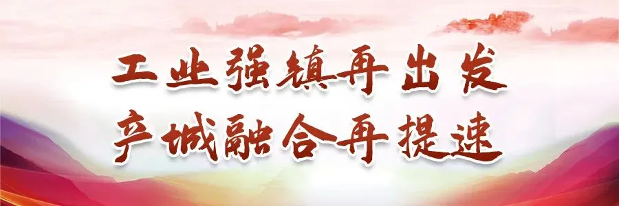 浙江卫视《跟着档案去旅行》节目组走进袁花