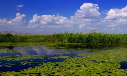 2016旅行计划丨今年这么玩儿才飒!