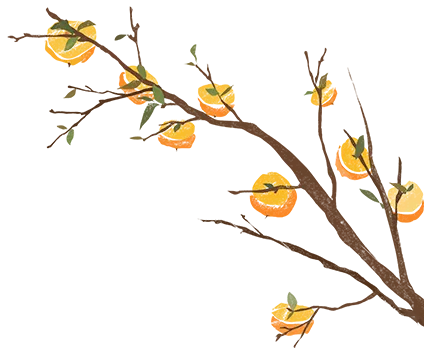 【三亚】|保姆级自由行攻略!建议收藏