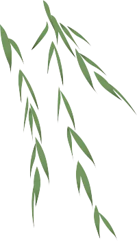 手绘旅游线路图新鲜出炉,这个五一,带你邂逅雨山区美景!