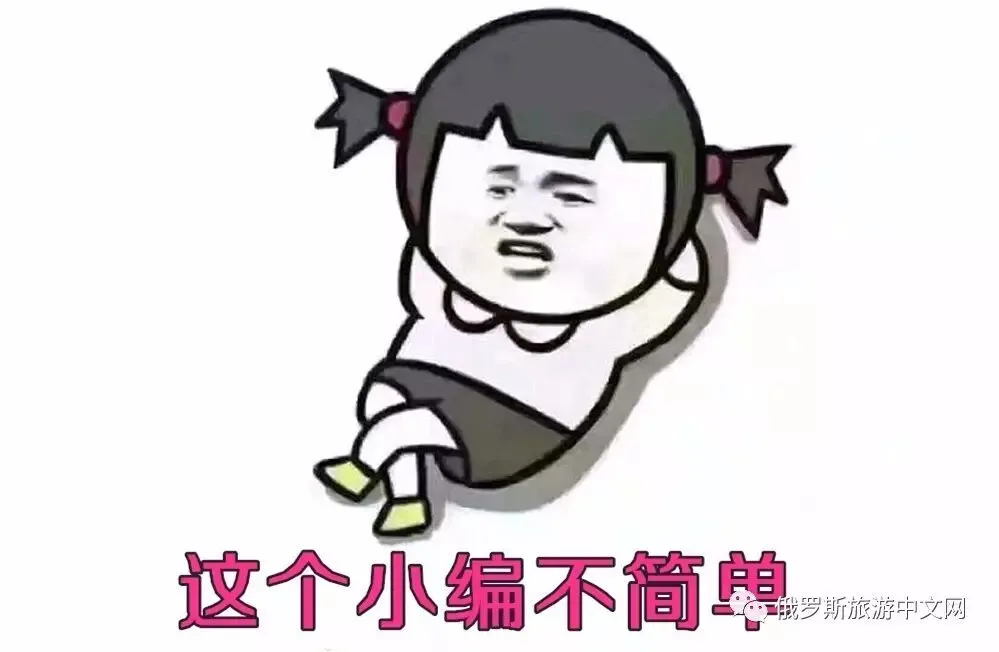 勒索病毒突袭俄罗斯旅游中文网,机密文件外泄~