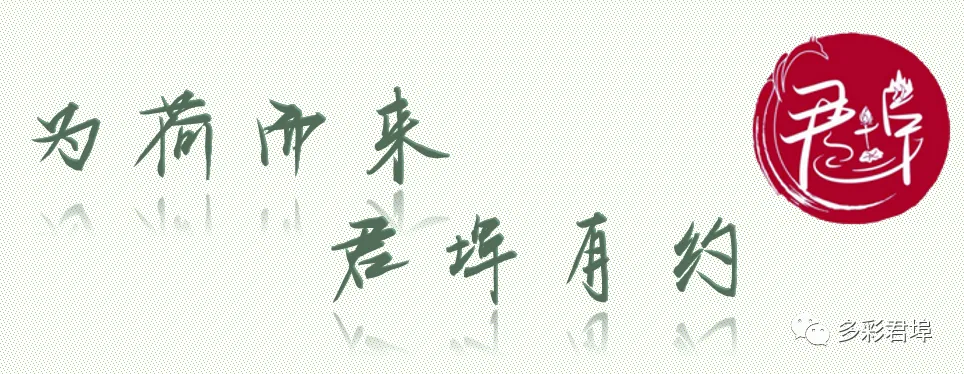 【旅游攻略】速来领取!“啤酒节”、“荷花节”没它不行!