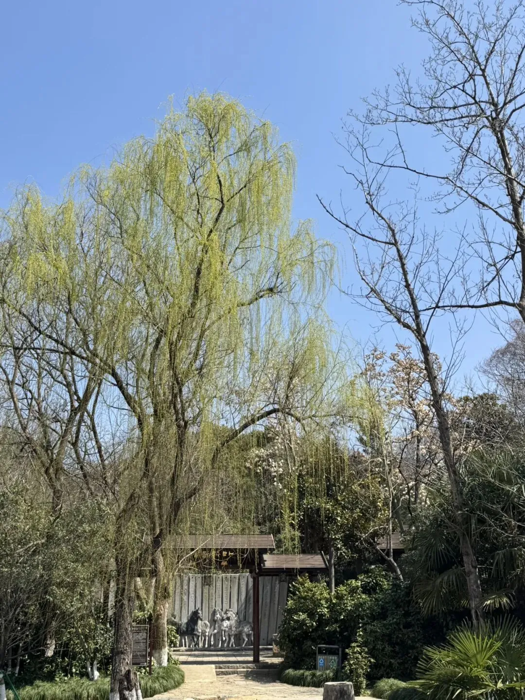 36岁日记:今天去苏州白马涧景区徒步读书,人一定要多出门,听说出门可以改命是真的!